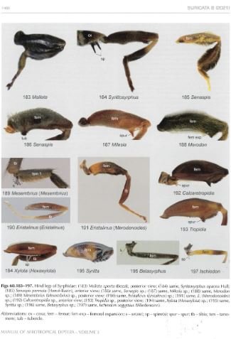 manual of afrotropical diptera. volume 3