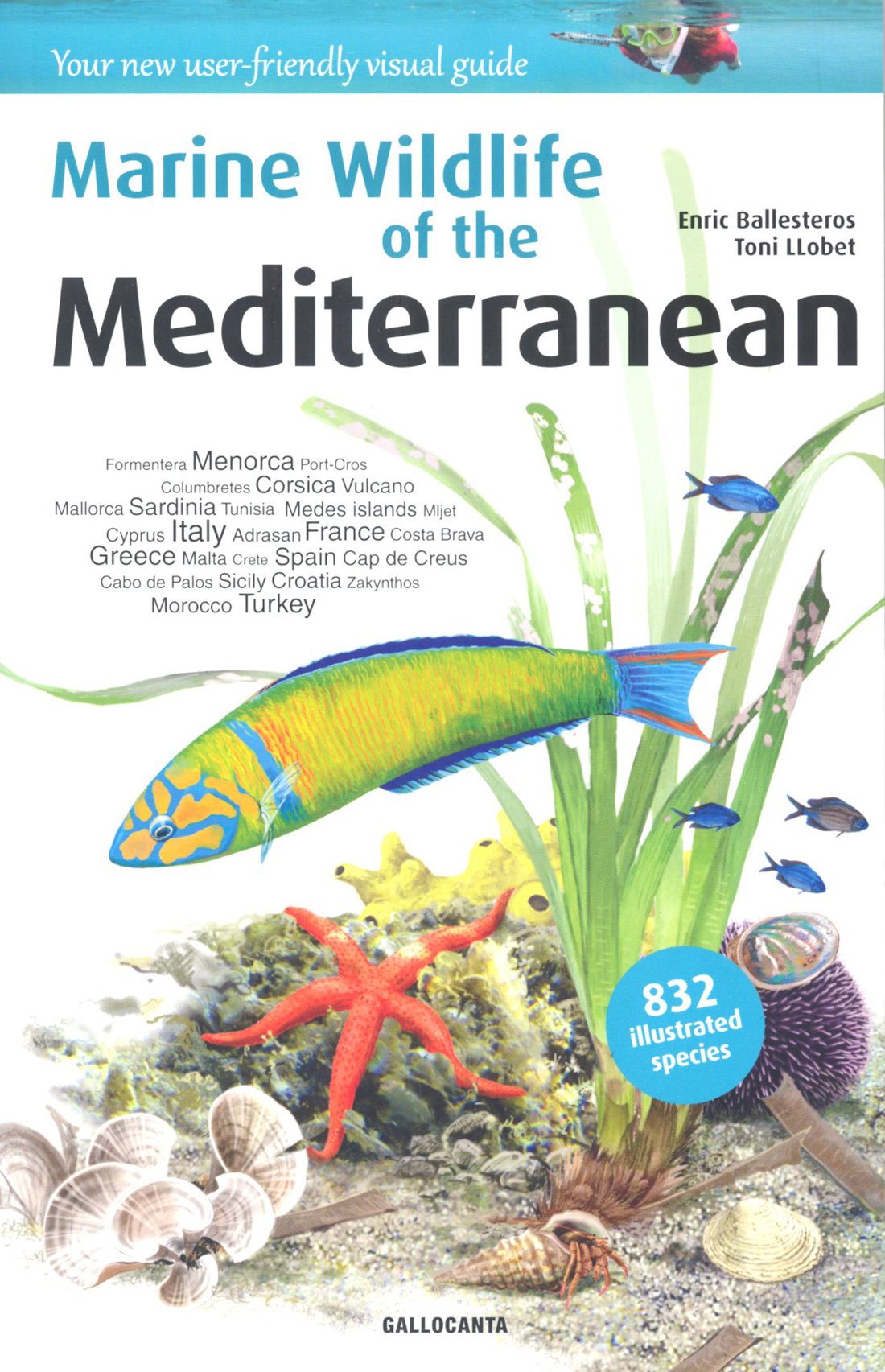 marine wildlife of the mediterranean