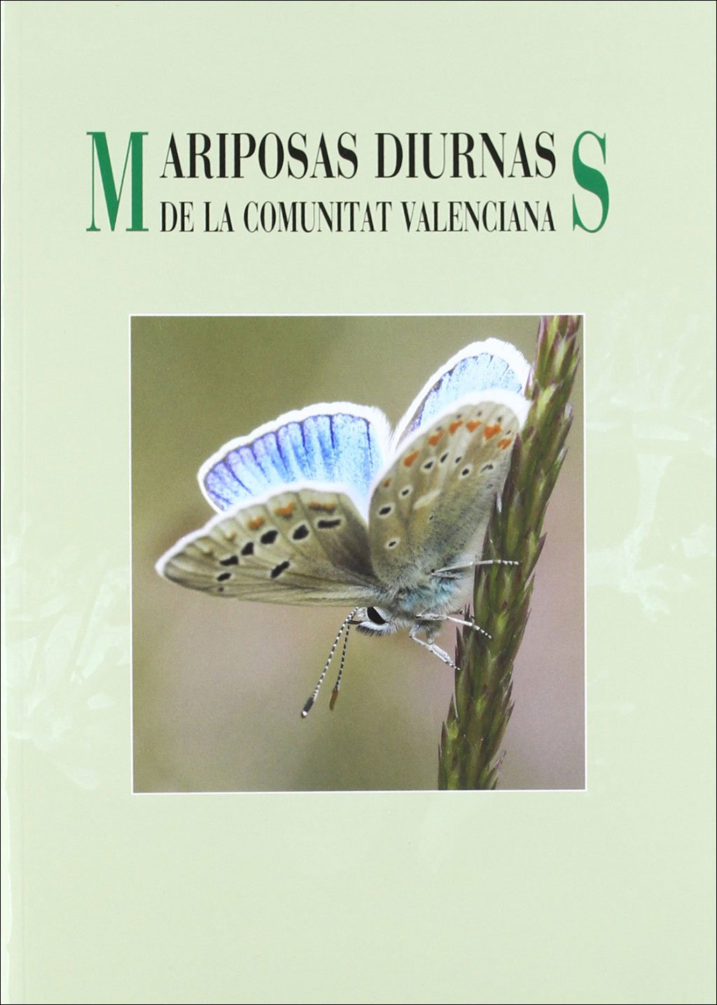 mariposas diurnas de la comunitat valenciana