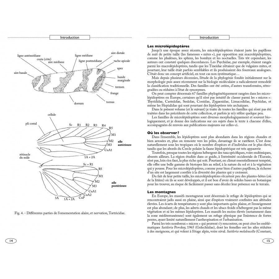 moths of europe volume 7. microlepidoptera 1
