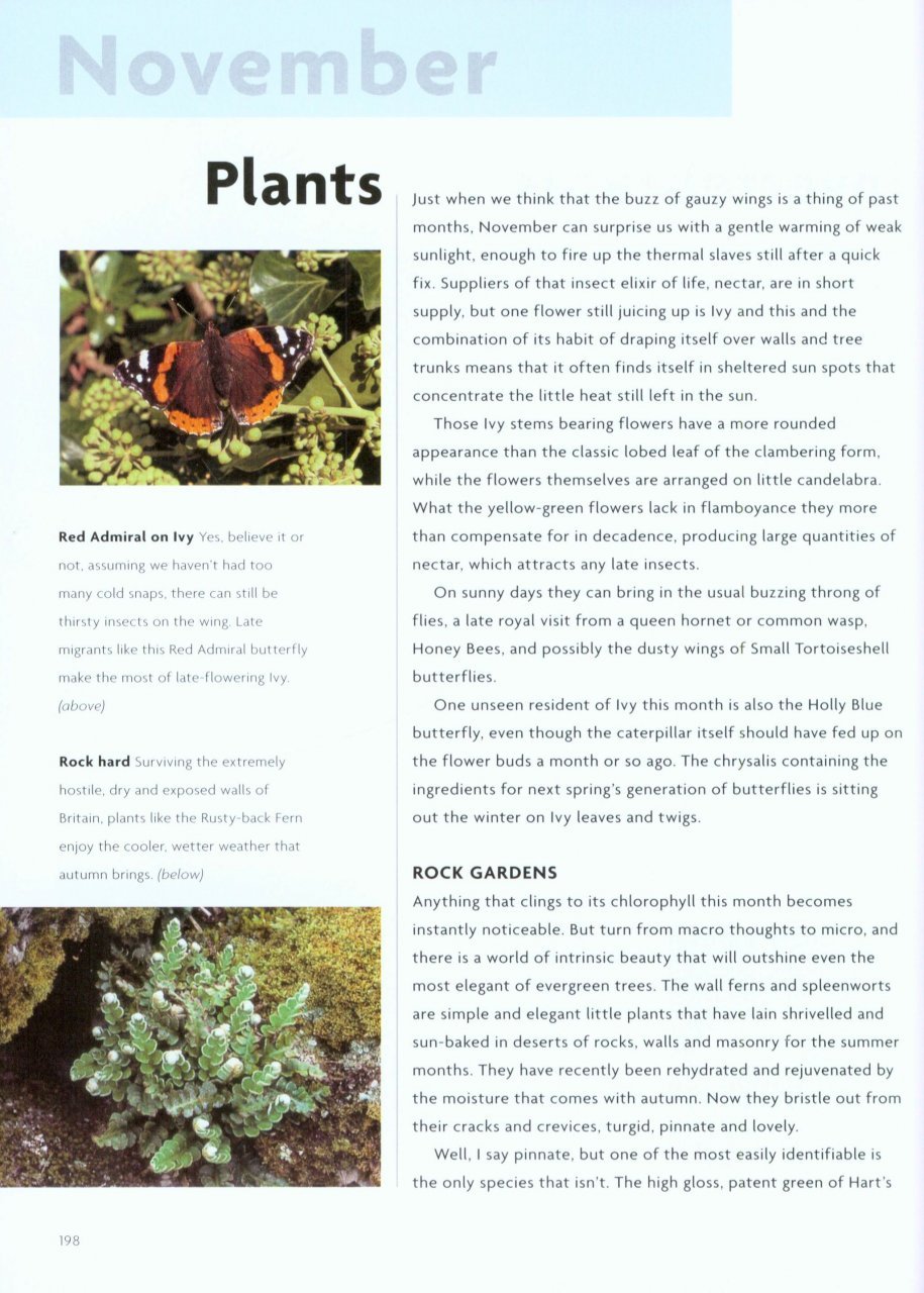 nick baker's british wildlife: a month by month guide