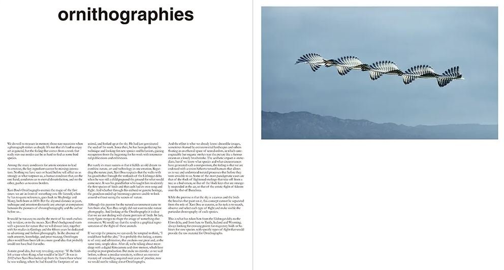 ornithographies