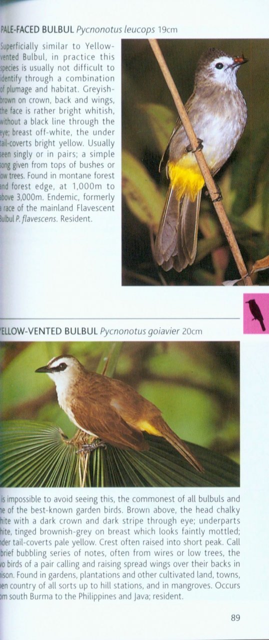 pocket photo guide to the birds of borneo: sabah, sarawak, brunei and kalimantan