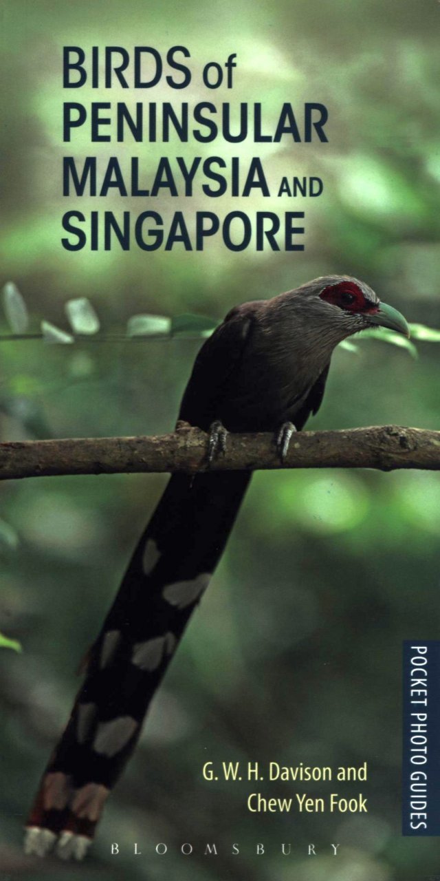 pocket photo guide to the birds of peninsular malaysia and singapore