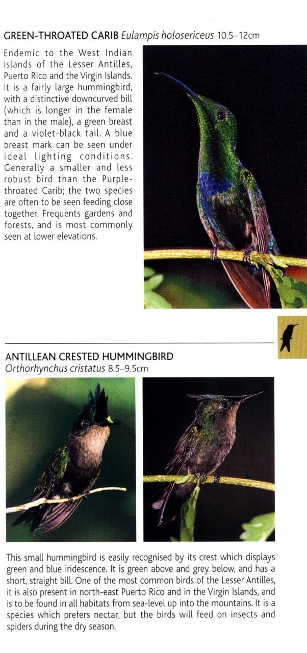 pocket photo guide to the birds of the west indies