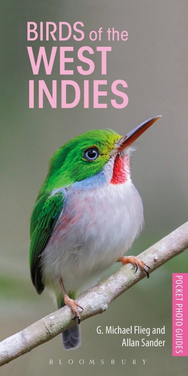 pocket photo guide to the birds of the west indies
