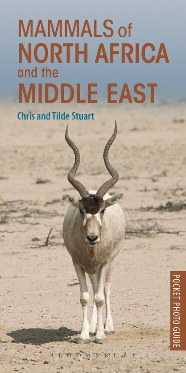 pocket photo guide to the mammals of north africa and the middle east