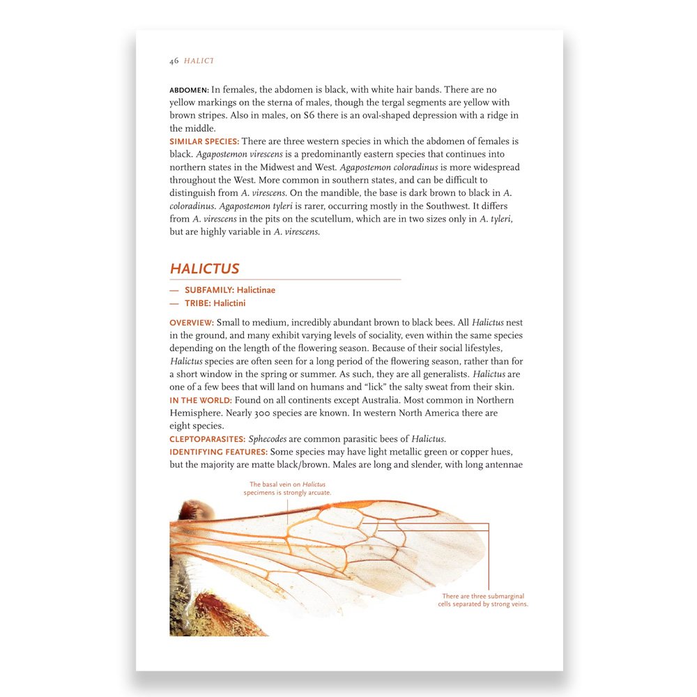 princeton field guides common bees of western north america