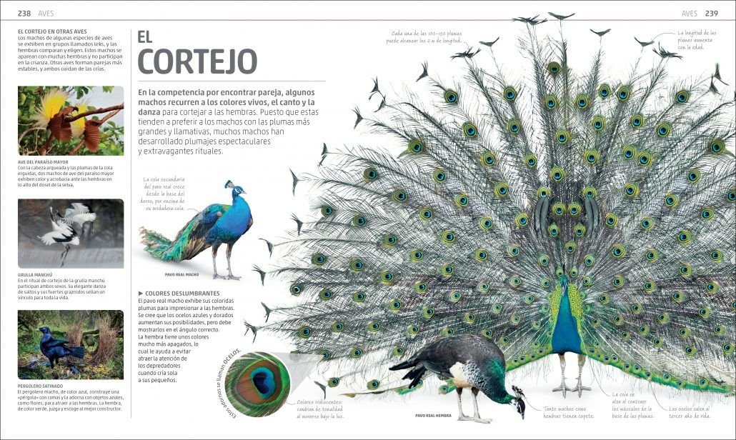 secretos de la naturaleza
