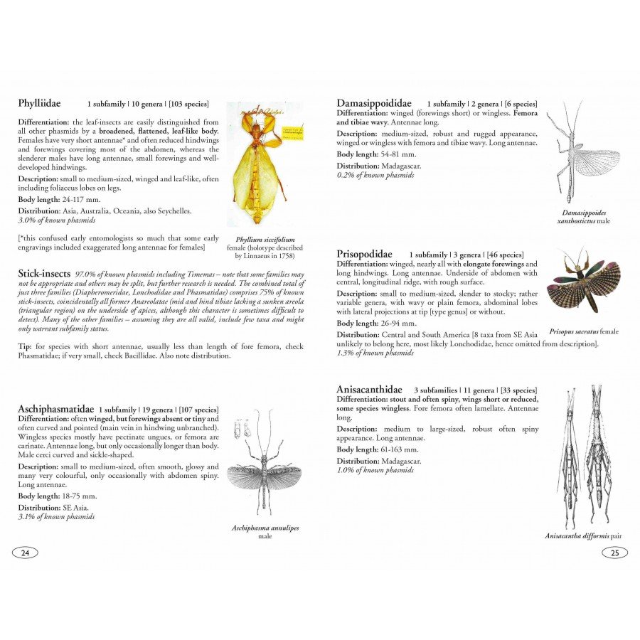 stick and leaf insects of the world