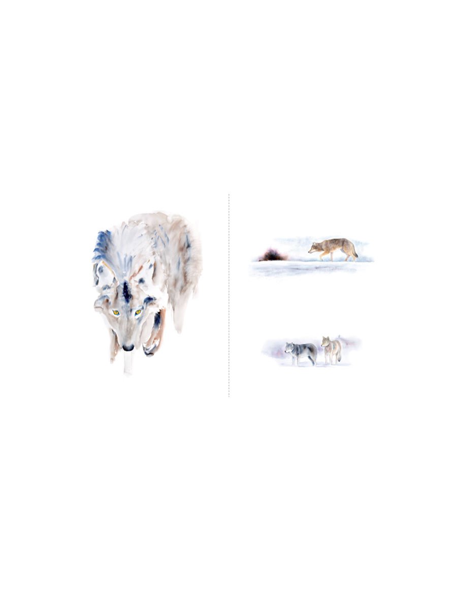 terre de loups