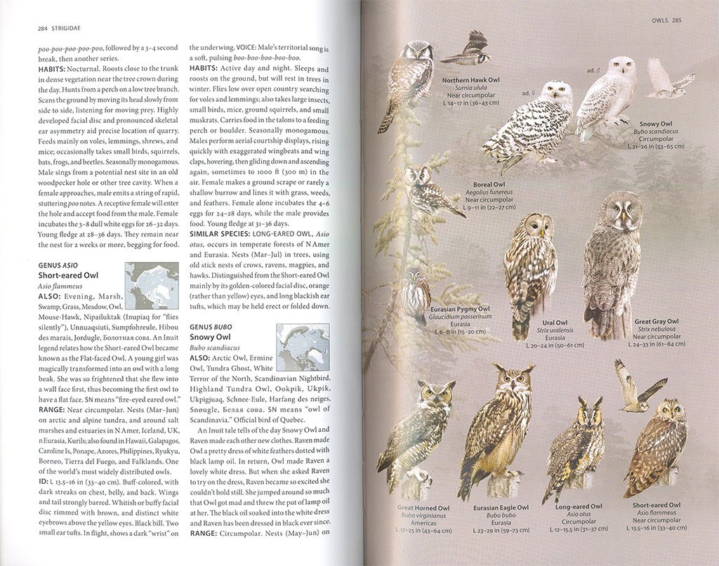 the arctic guide. wildlife of the far north