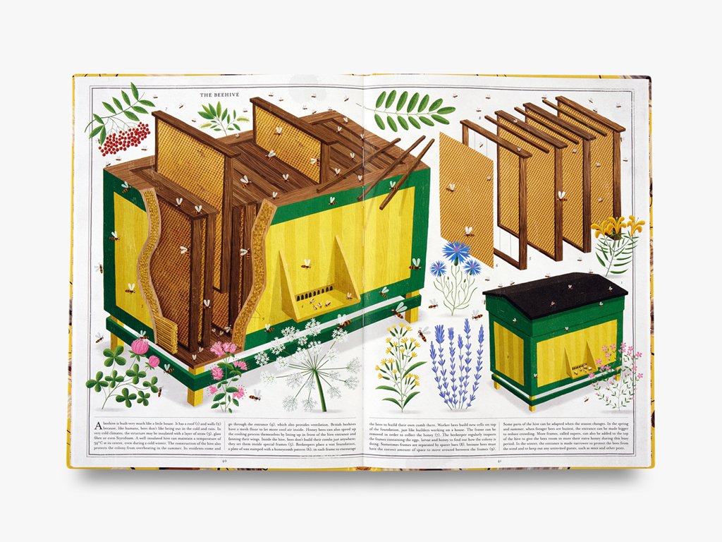 the book of bees