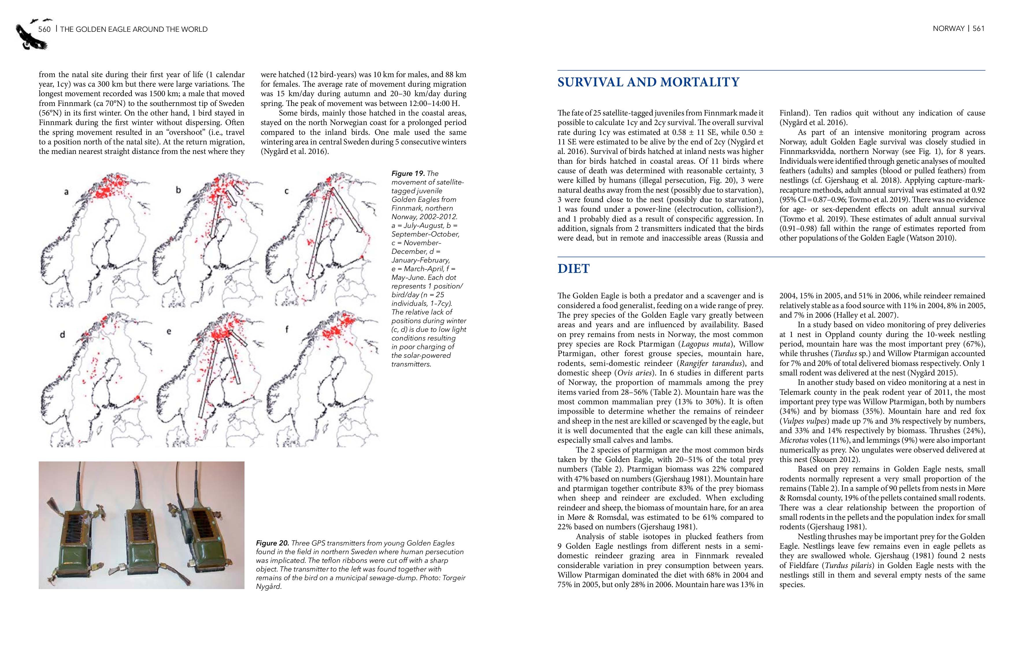 the golden eagle around the world: a monograph on a holarctic raptor