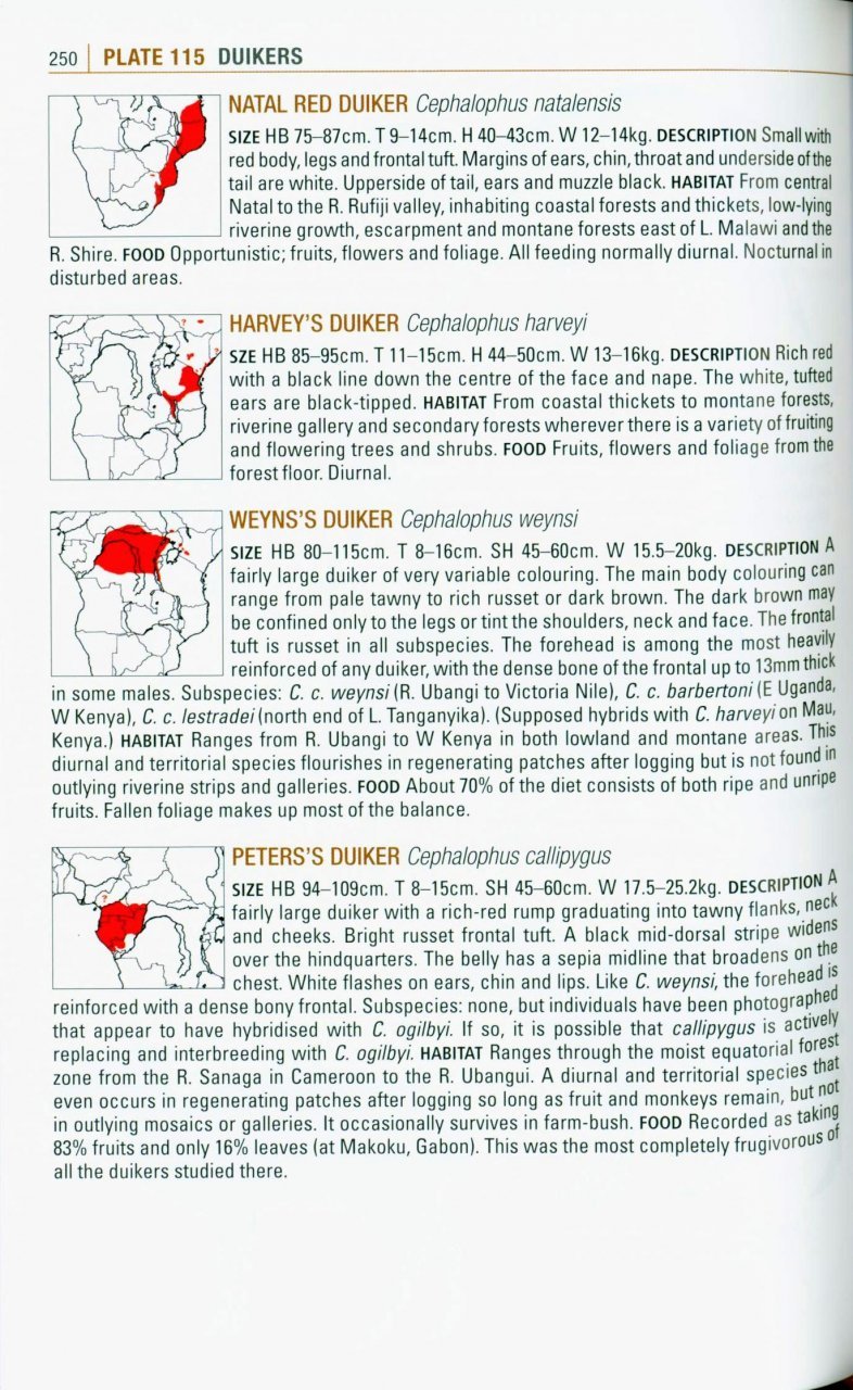 the kingdon pocket guide to african mammals