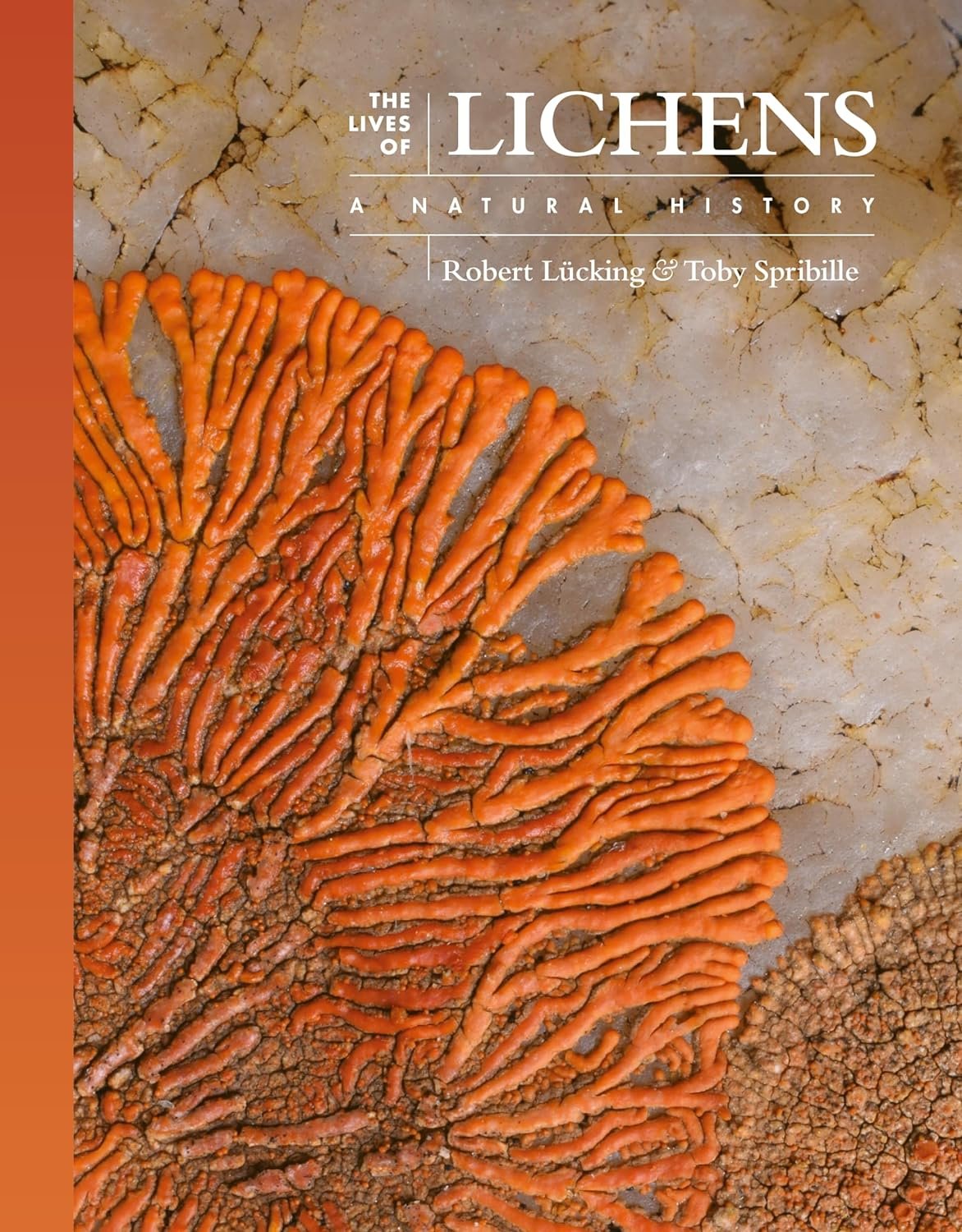 the lives of lichens: a natural history