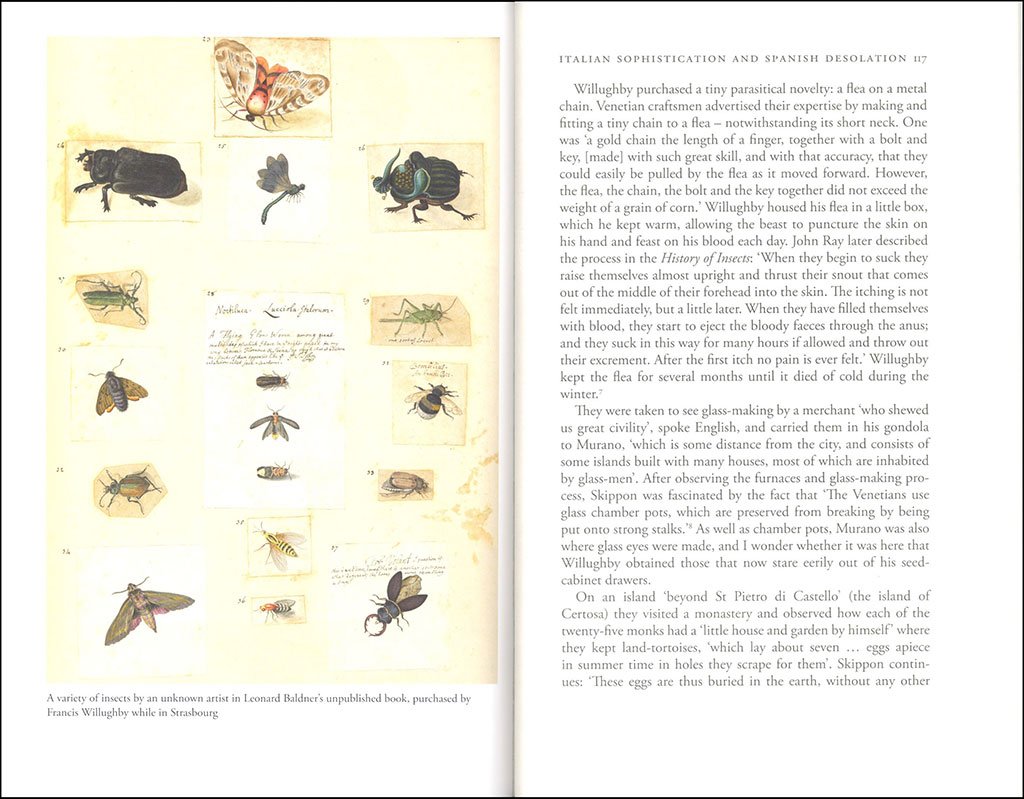 the wonderful mr willughby: the first true ornithologist