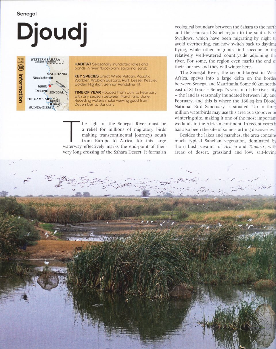 top 100 birding sites of the world