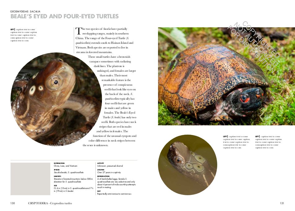 turtles of the world. a guide to every family