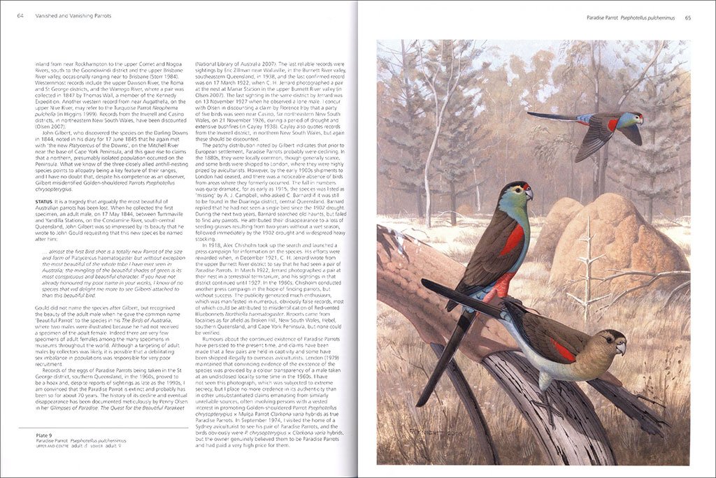 vanished and vanishing parrots. profiling extinct and endangered species
