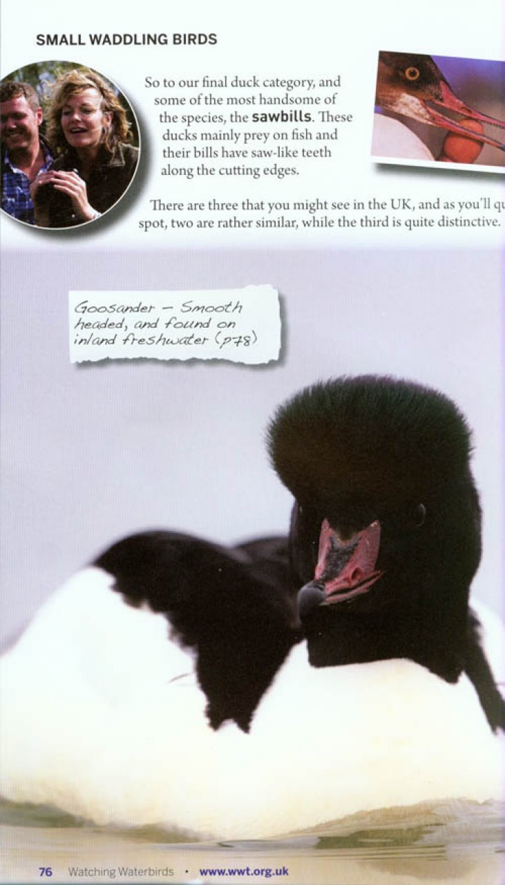 watching waterbirds with kate humble