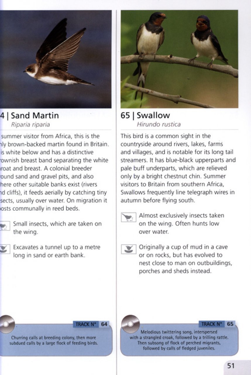 wetland birds songs & calls
