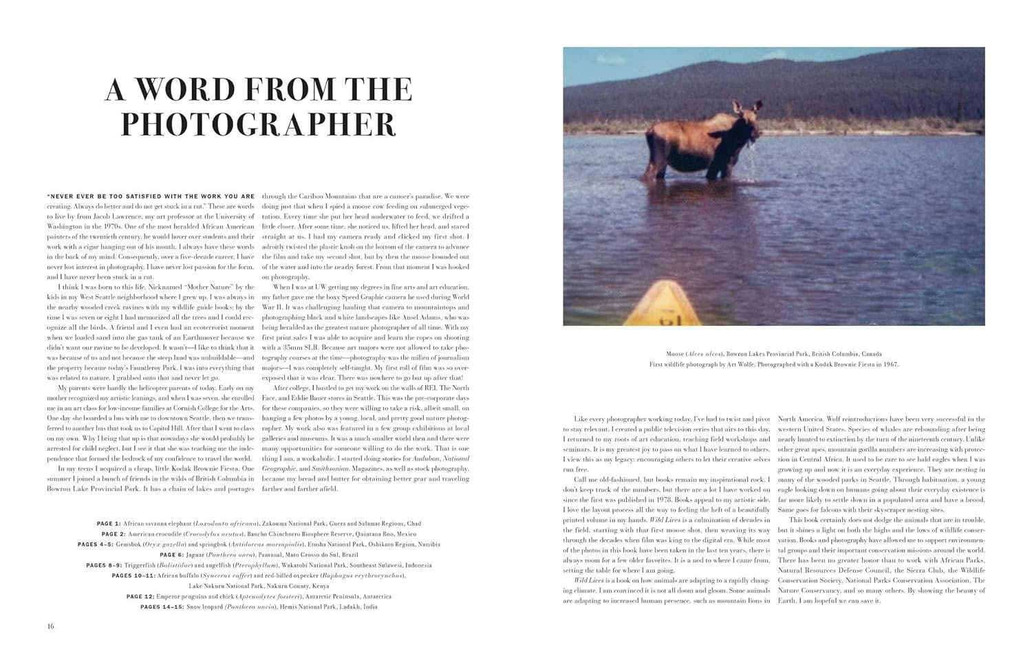 wild lives. the world's most extraordinary wildlife
