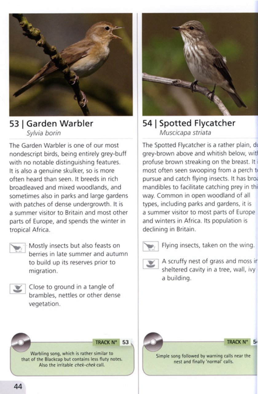 woodland bird songs & calls