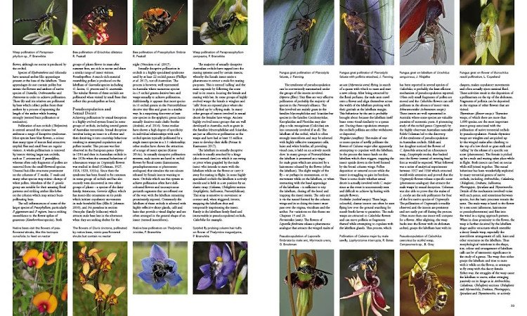 a complete guide to native orchids of australia