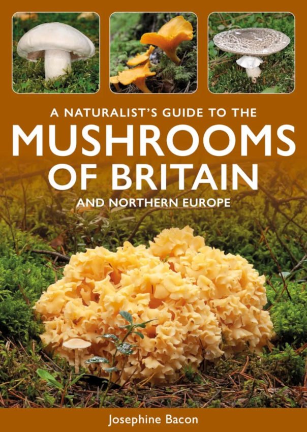 a naturalist's guide to the mushrooms of britain and northern europe