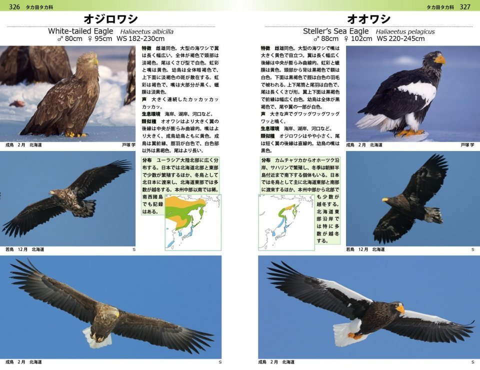 a photographic guide to the birds of japan and north-east asia