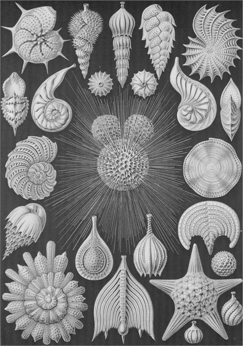 art forms in nature