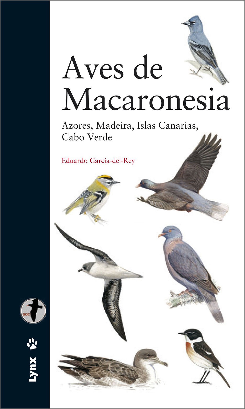 aves de macaronesia. azores, madeira, islas canarias, cabo verde