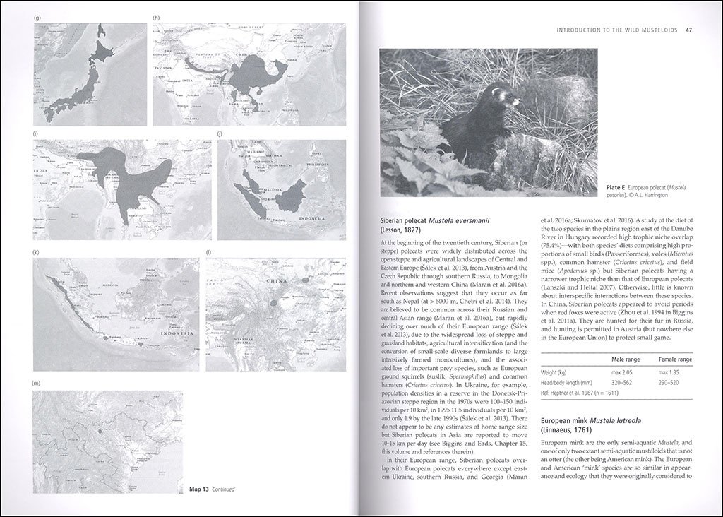 biology and conservation of musteloids