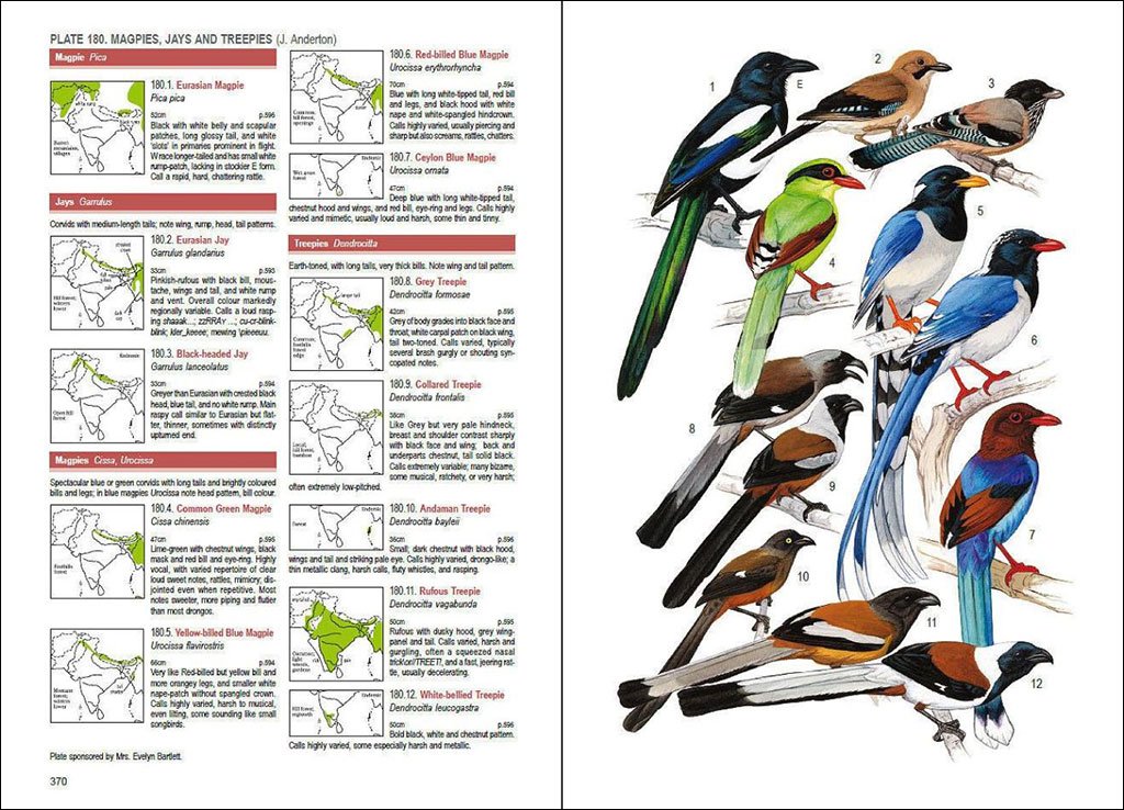 birds of south asia. the ripley guide. 2 volume set