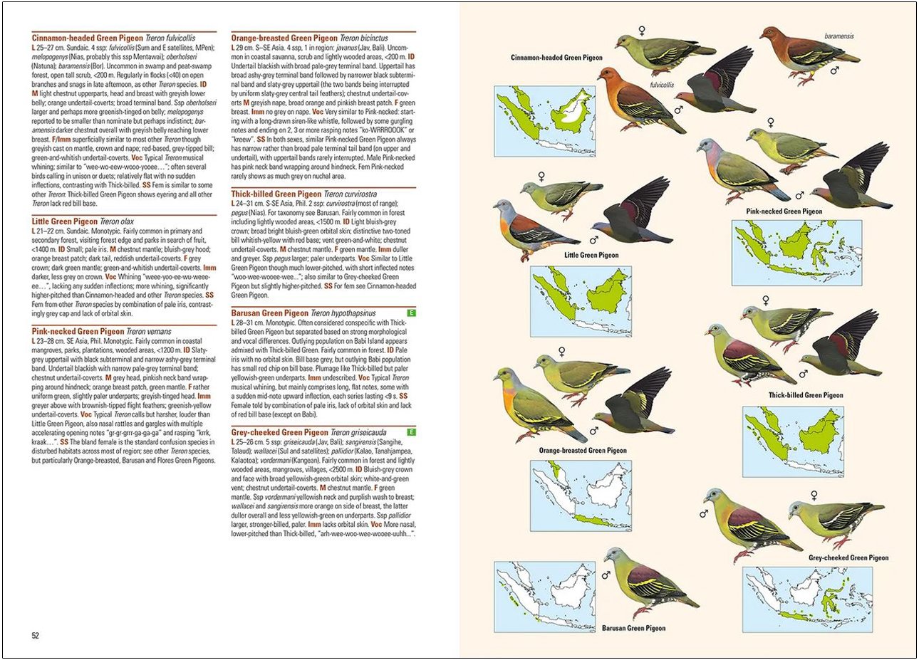 birds of the indonesian archipelago greater sundas and wallacea