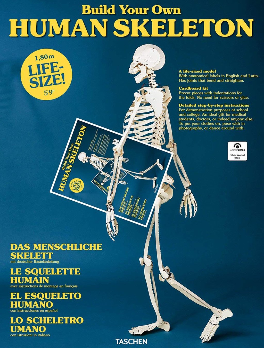 build your own human skeleton