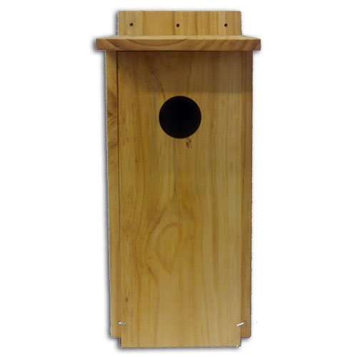 caja nido para mochuelo en madera tratada