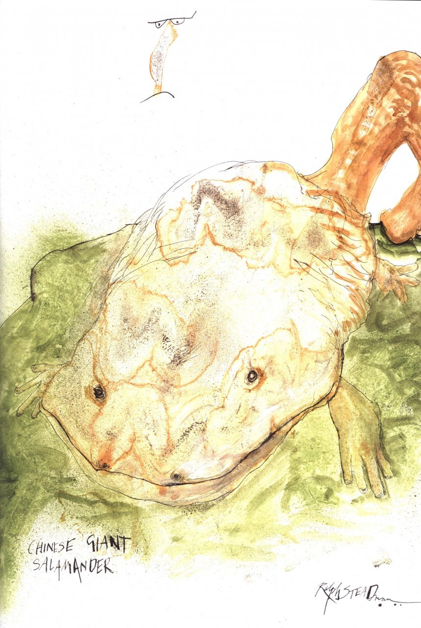 critical critters with beastly sneers and callous observations