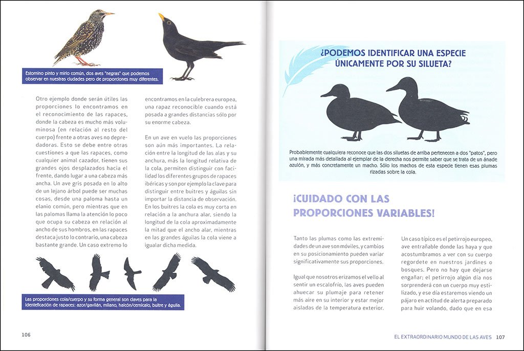 el extraordinario mundo de las aves