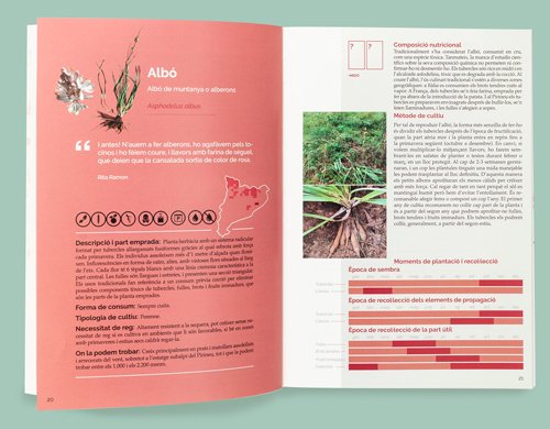 el llibre de les plantes silvestres comestibles 5