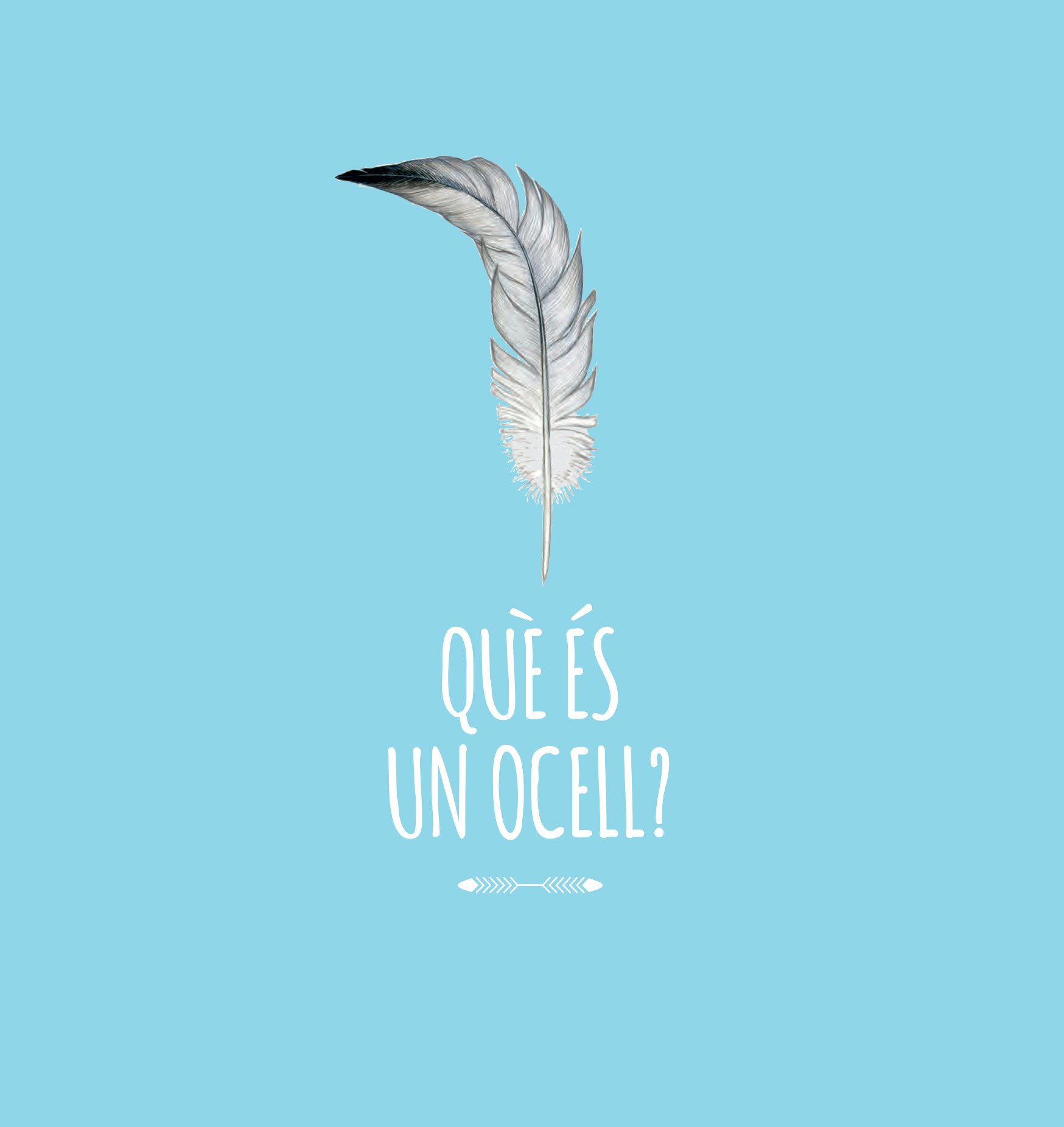 el llibre dels ocells