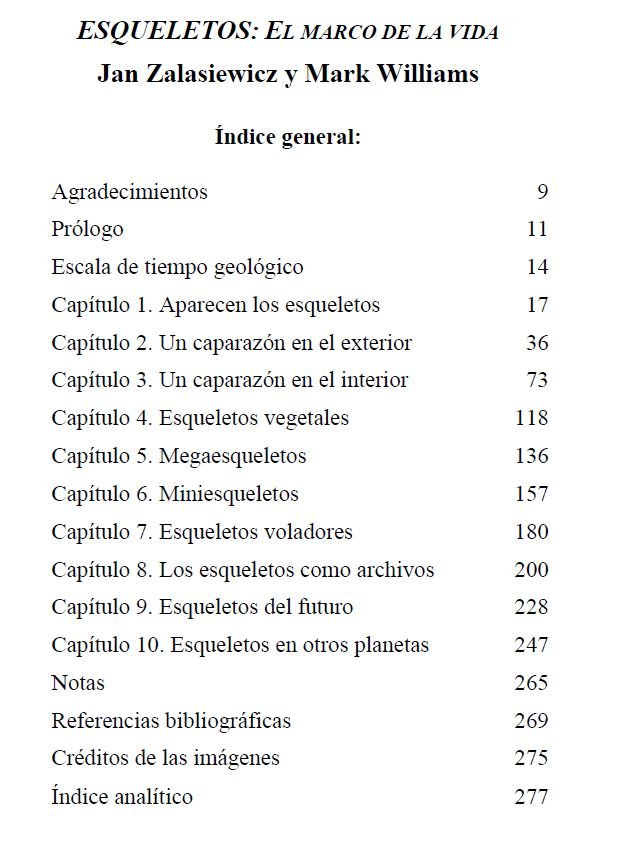 esqueletos. el marco de la vida