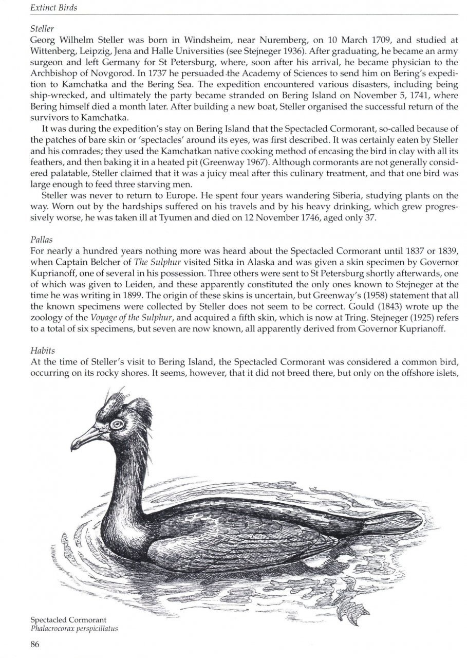 extinct birds.