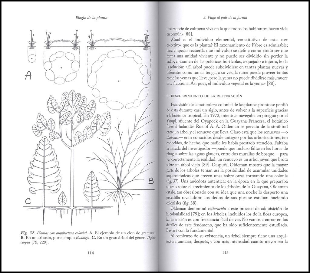 elogio de la planta. por una nueva biologa
