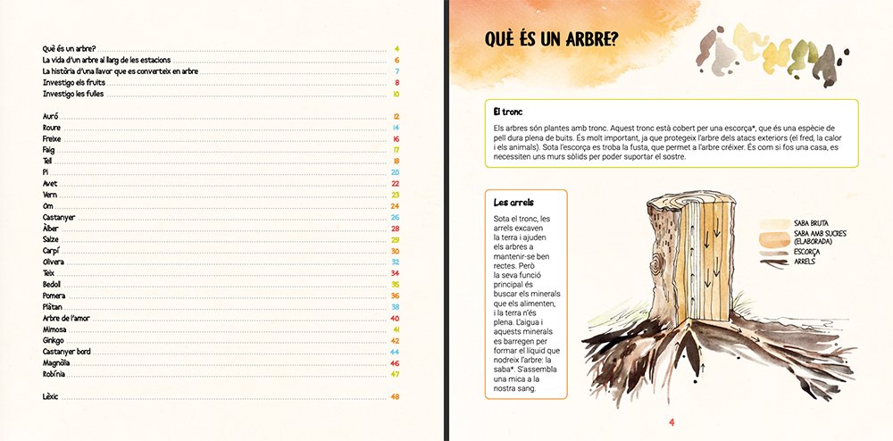descobreixo els arbres i aprenc a reconixer-los
