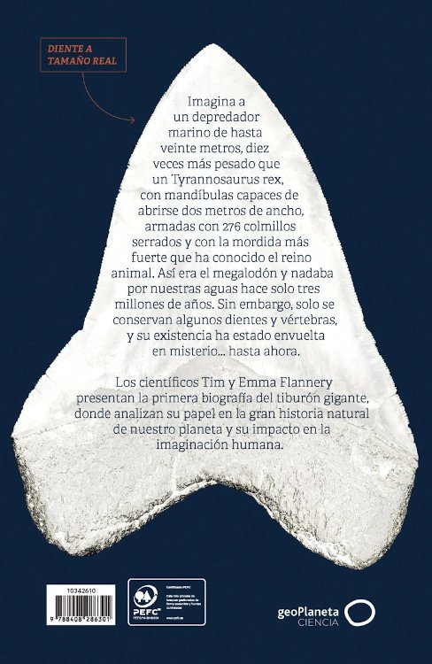 megalodn. la historia del depredador ms grande que ha existido