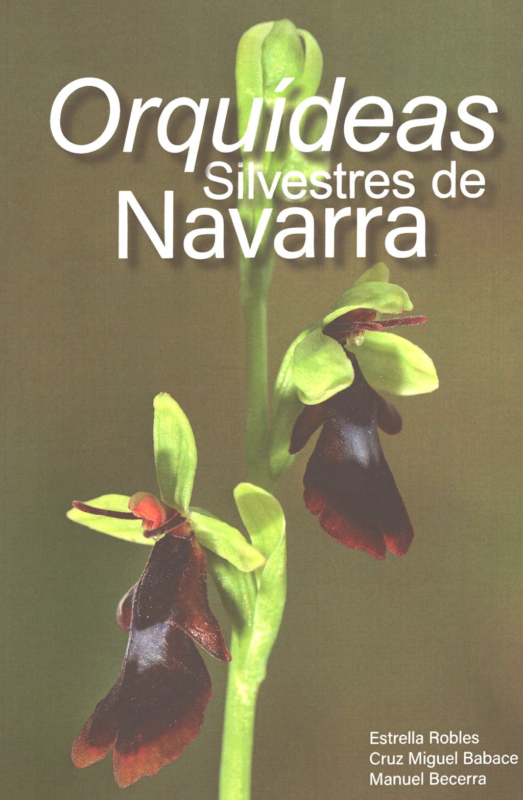 orqudeas silvestres de navarra