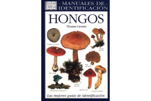 plantas sin flores: criptgamas