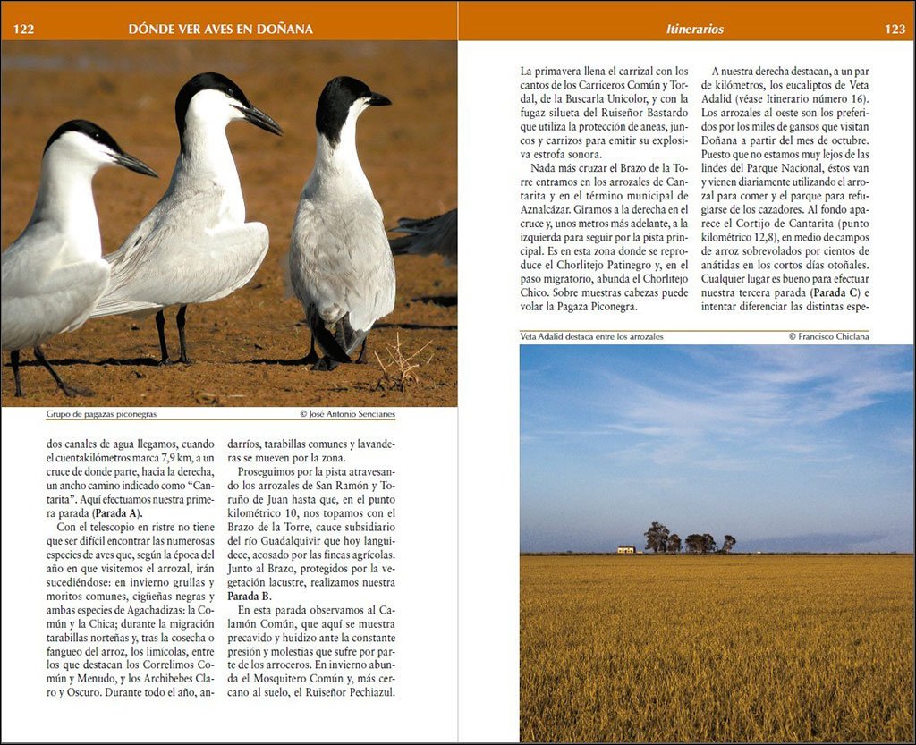 dnde ver aves en doana
